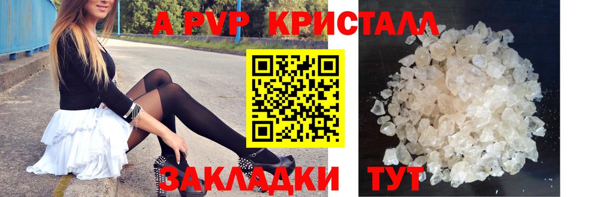 APVP СК Кондопога