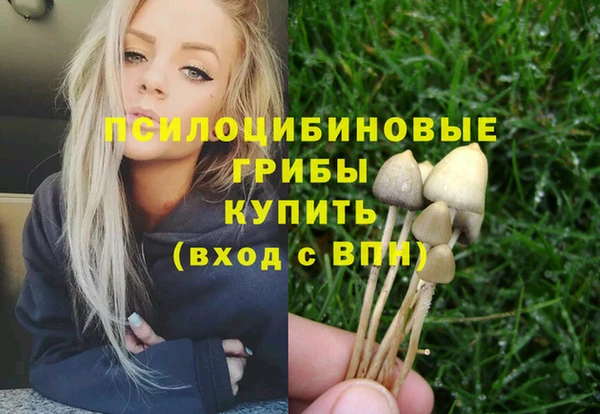 герыч Алексин